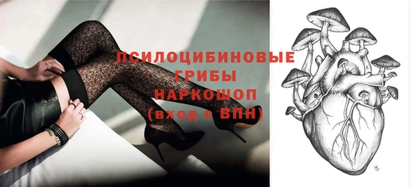 PSILOCYBIN Баксан