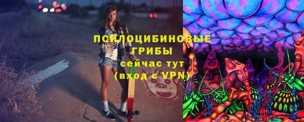 индика Белокуриха